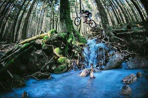 KNOLLY BIKES . #mountainbikes #mountainbike #MTB #mtbtrails #mtbtrail #trails #Bike #bikelife #Mount