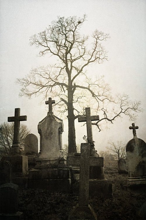 ominousplaces:The gathering, by touch-the-flame.