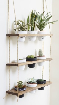 sosuperawesome:  Hanging Planter Shelves,