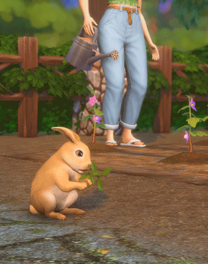 🌱🐇 