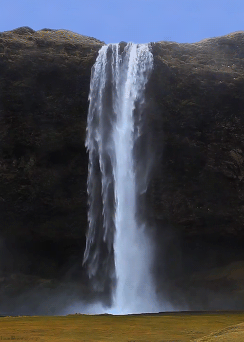 tumblr_n13xuzM8i31r4zr2vo2_r2_500.gifv
