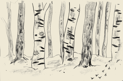 nepeteaa:some trees 