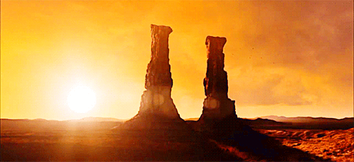 giraffenkuss:  You watch us run.