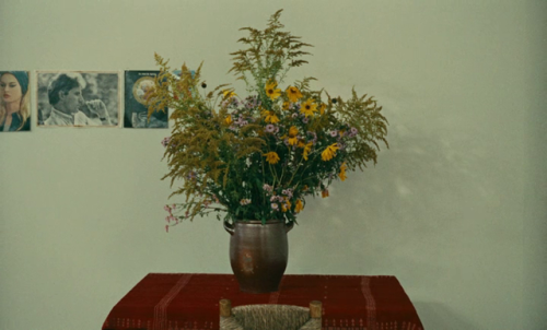 ozu-teapot:Le Bonheur | Agnès Varda | 1965