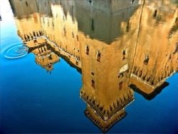 loulou-c-est-moi:  Ferrara, Castello Estense. Loulou 