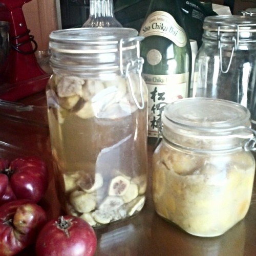 edbattle | Feijoa Vodka Infusion and Preserved Lemons | http://bit.ly/1xTPnyq