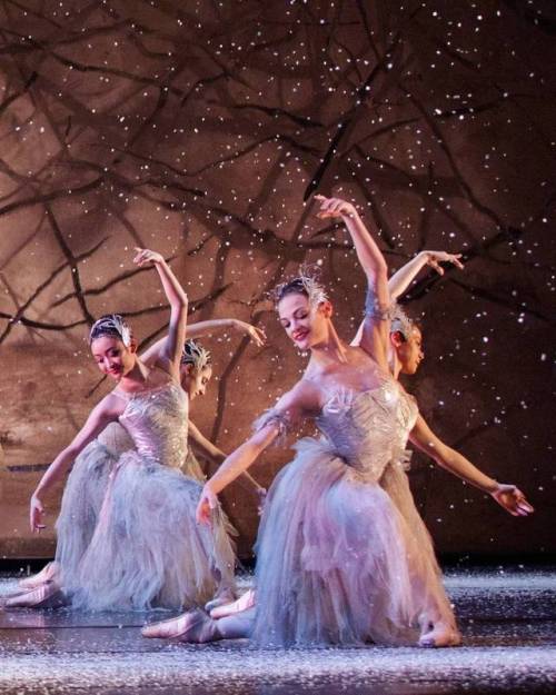 andantegrazioso:Winter ballet | bhamroyalballet