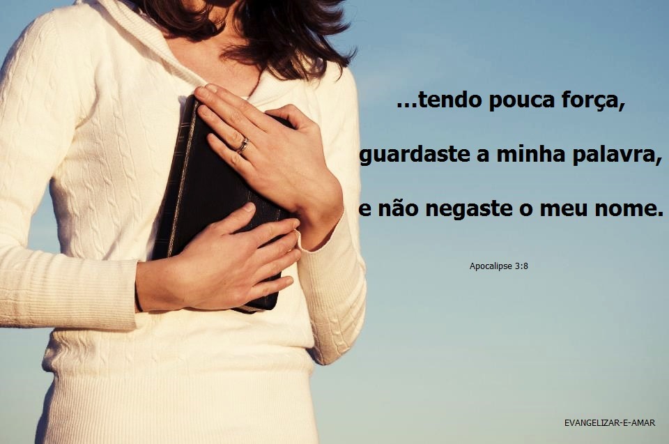 Servindo Fielmente