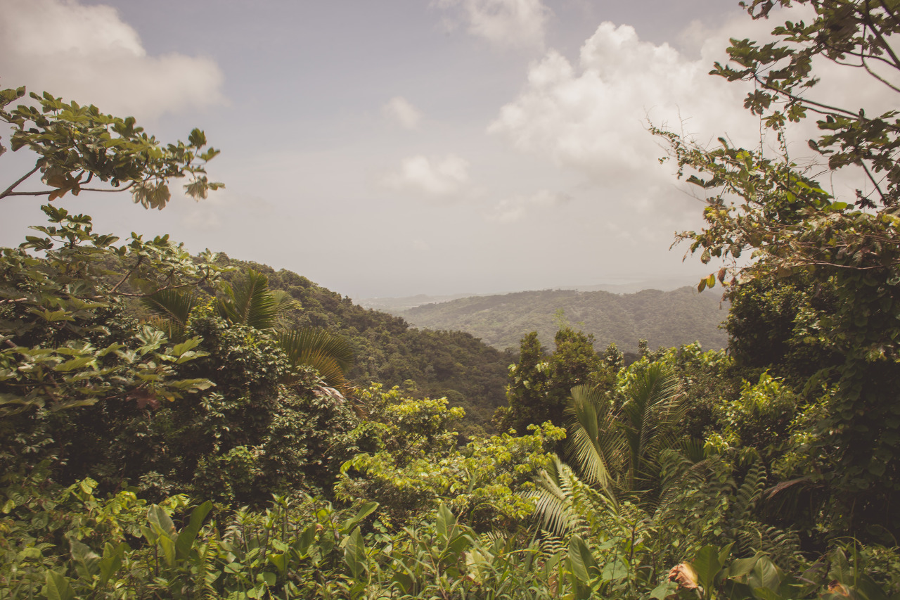 kmilaniz:  followtutes:  Isla del Encanto, Puerto Rico  Mejor post 