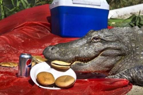 foulboy:a nice boy enjoying his meal 