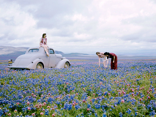 vintagegal:  Travelers in California’s San Joaquin Valley gather owl’s clover and blue lupine in a field along Route 99. Photo by B. Anthony Stewart c. 1940s (via)