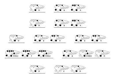 Learn to Play Ocarina! — TRANSVERSE 12 HOLE - TAIWANESE “Song of Storms”  