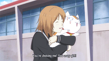 jeditrooper94:  This is me when I meet random cats lol