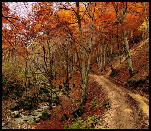 Gola Dell'Infernaccio #Montefortino#Fm#Marche#Italy