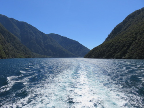 chesterlampkin: A beautiful & sunny Milford Sound. New Years Day 2016. #NewZealand #Fiordland #N