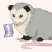 kristoaster:Some pride opossums! 