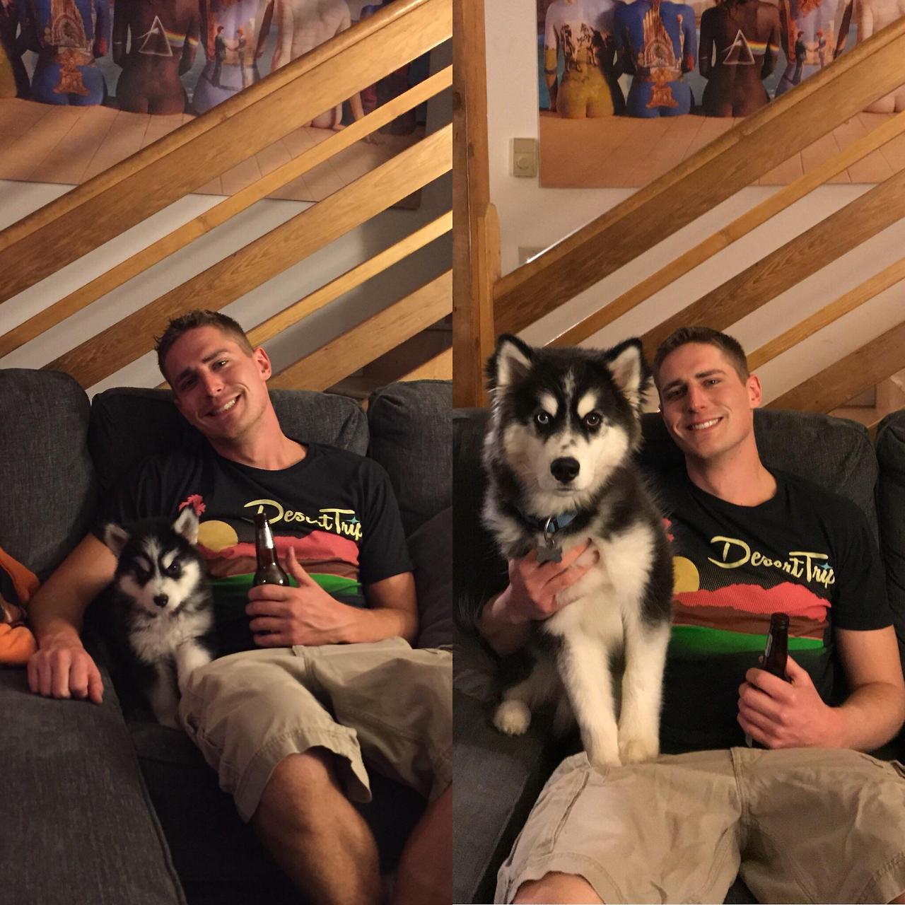 awwww-cute:  6 weeks -&gt; 6 months. Notice I had to hold him in place this time.