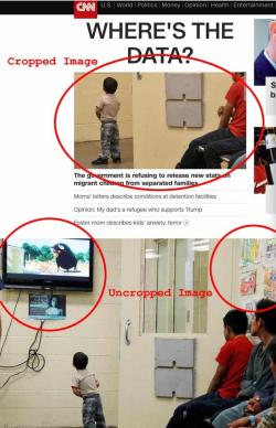 evilkitten3:  toastedsmoreo:  rightsmarts:  How CNN manipulates its audience/narrative by cropping images.  Bitch the government is literally putting kids in cages nobody gives two dicks if these prisons put Ferdinand on in the background to disguise