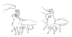 threefeline: some more mothsteed doodles, this time based off of a rosie moth :3c 