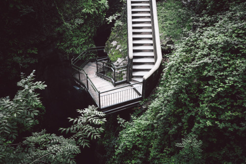 Canyons, Stairs, And So Much Green. So Far The Best Path I’ve Ever Seen.