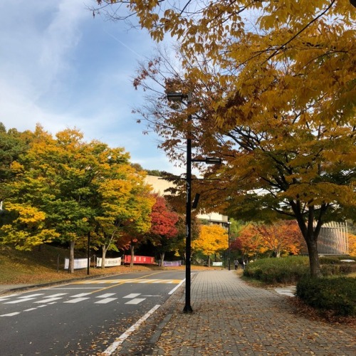 뜨거운 여름은 가고 남은 건 볼품없지 만을 들으며 여름을 보내준 게 얼마 안 된 것 같은데.. 어느새 가을도 보내주는 중..