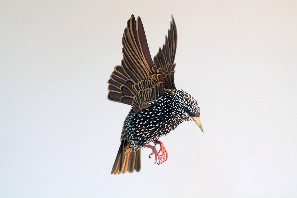 paintvrlife:  Diana Beltran Herrera is a Colombian designer and illustrator who is