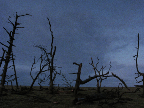 earlysummer1951:THREADS (1984) dir. Mick Jackson