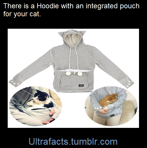 Sex ultrafacts:    The Mewgaroo Hoodie is a pictures