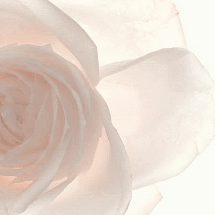 aphrhodite: name moodboard: Simonea feminine form of Simon, which is a borrowing from the Ecclesiast