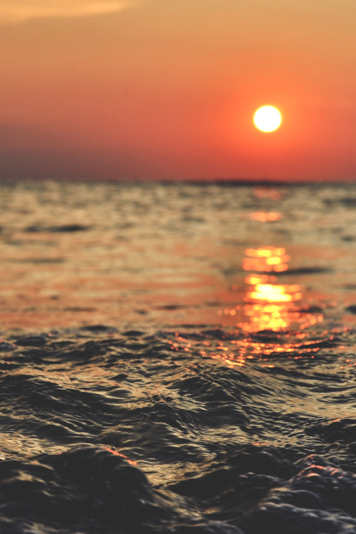 wavemotions:  Northern Sea at Sunset