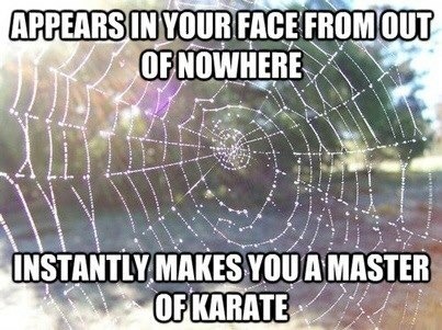 authenticallycharged65:  robwolf88:  💚  Geezus…Ewwwww😁🕷🙅🏼