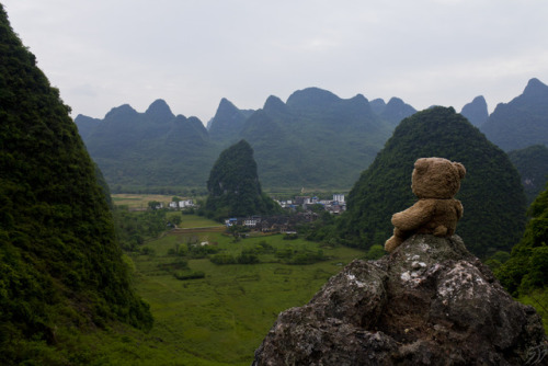 adventureswithteddy:Teddy takes a moment to enjoy the Karst mountains of south east China. Through f