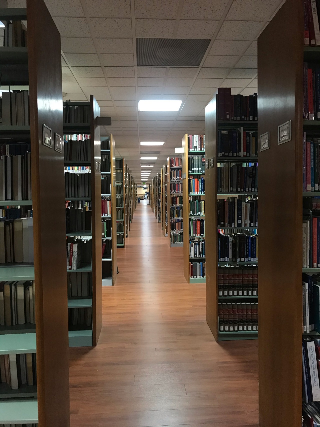 Liminal Spaces — The Torreyson Library at The University of Central...