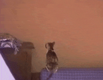 advice-animal:  Careful Humans, Cats Are Evolvinghttp://advice-animal.tumblr.com/ 