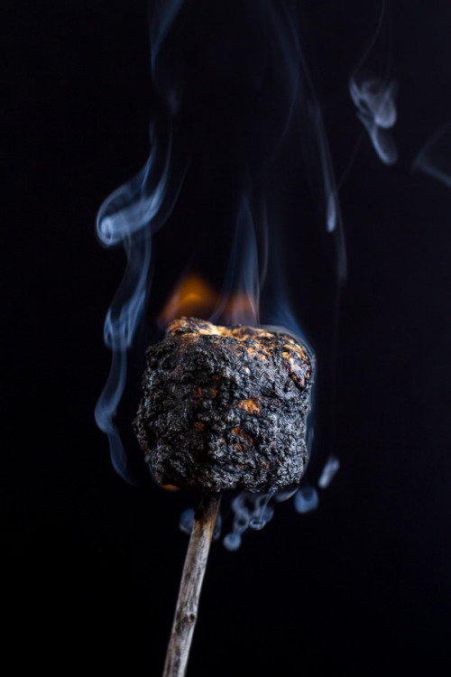 brownglucose:  chrisdwoo:  vneckandacardigan:food52:sweetoothgirl:Oatmeal Chocolate Chip + Graham Cracker Cookie S’moresThis may be the single greatest thing to ever grace the internet.   That is definitely pornography.  Minus the nasty ass oatmeal….yes