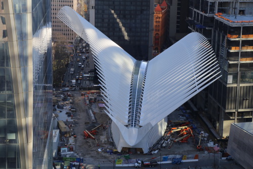 archatlas:World Trade Center Transportation Hub Santiago CalatravaCalatrava’s first major design dec