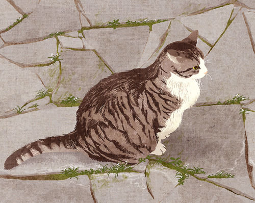 shinoillustration: stray cat