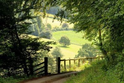 apassionateman:Country lane by Iain HarrisA adult photos