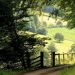 apassionateman:Country lane by Iain HarrisA view from the lane that leads down to the River Wye’s ‘lost meander’ near Newland in Gloucestershire.