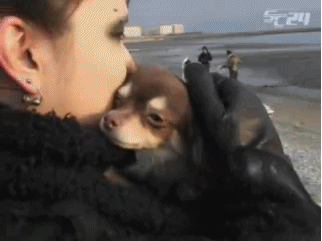 impossible-girl-maestro-deactiv:  Hitsugi cuddling with &amp; running away from