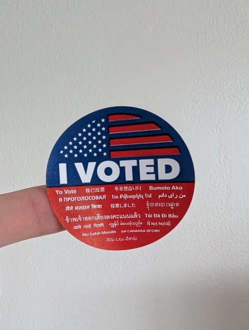 I Just Voted. Did You? Will You?? Please???