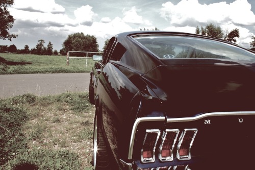 musclecarinstant:  forever M.T