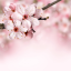random-reblog-of-love