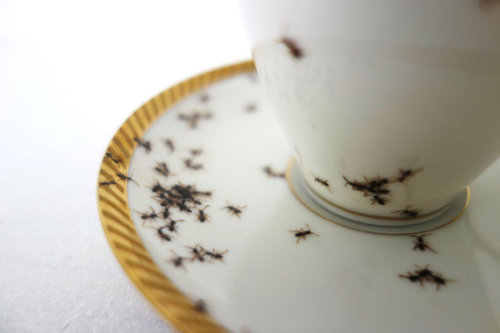vintagemadbym:whimsebox:Vintage porcelain hand-painted with ants by LAPHILIE Soooo Dali!