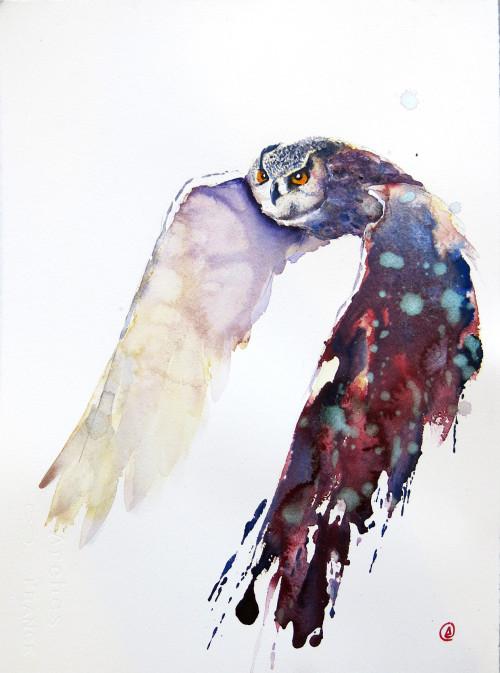moon83:  Daniel Lutherdanielluther.se // Behance  Awesome.  Beauty. Talent.
