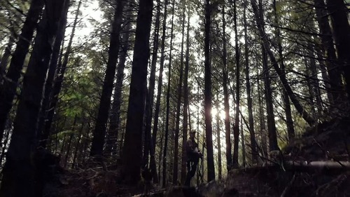 Bigfoot Scouting a remote location in Oregon last weekend.  I call it the Ape Forest.  New book comi