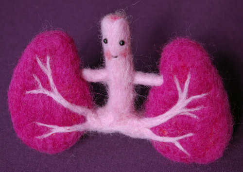 honeythistledesigns:  sosuperawesome:     Needle felting by FaitMainProduction on Etsy  • So Super Awesome is also on Facebook, Twitter and Pinterest •   These are beyond adorable O.OSeriously coveting that pair of kidneys… and that uterus!  