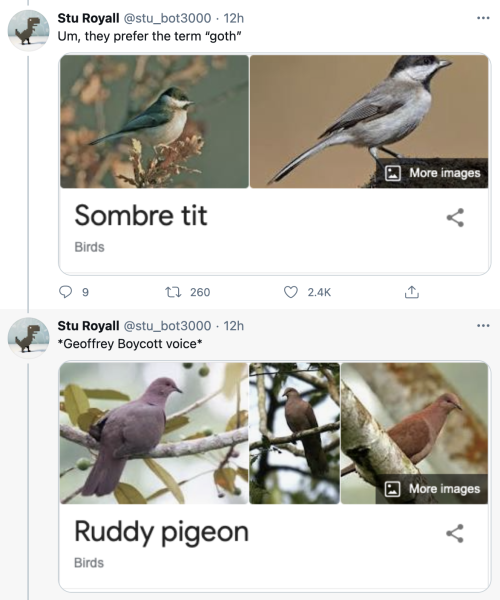 pterygota:thegunlady:bird twitter is lighting upmy mom said her sister would insult people by callin