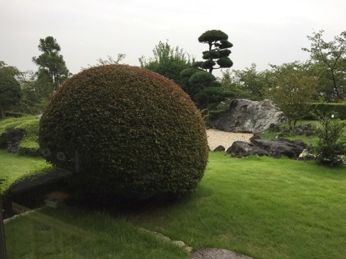 日本庭園　見ながら　ゆ～～ったり　ランチ～～～