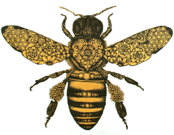 peaceful-moon:transparent bee for yo blog